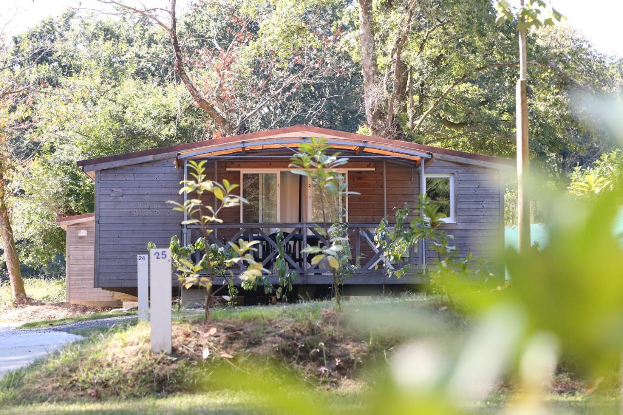 Camping Le Ruisseau Saint-Andre-de-Seignanx Ngoại thất bức ảnh