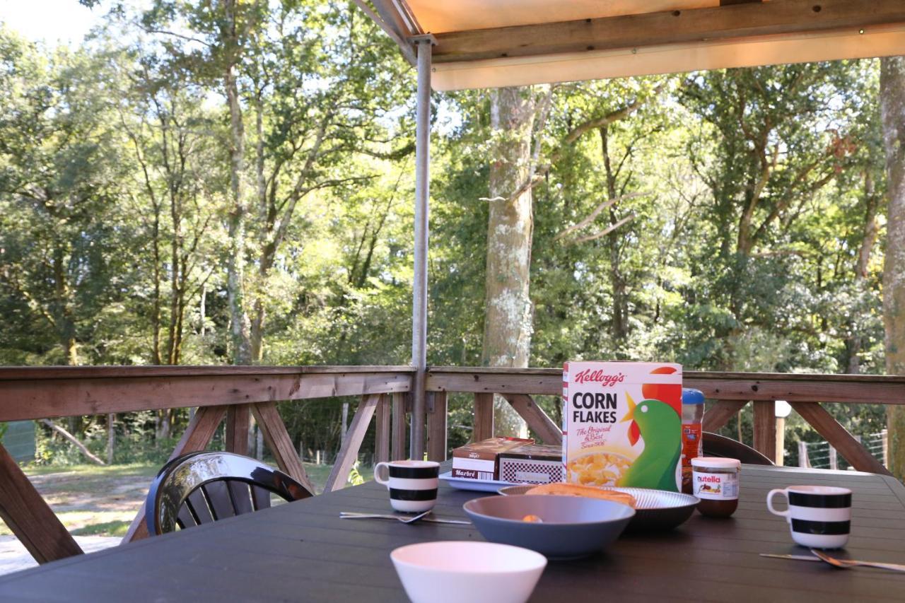 Camping Le Ruisseau Saint-Andre-de-Seignanx Ngoại thất bức ảnh
